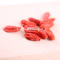 2016 new GOJI BERRIES----GOJI SCM offer